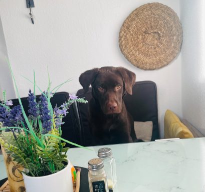 Wenn sich nichts vom Tisch bekommt