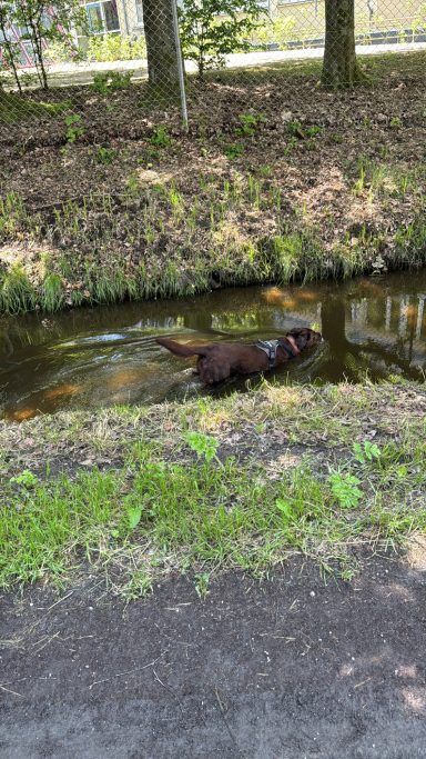 Wasser liebt sie