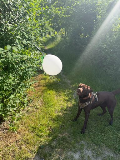 Spielmoment