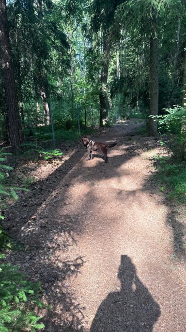 Ihr Wald